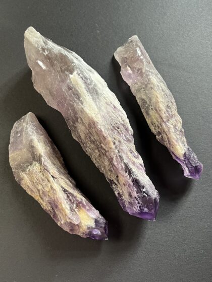 Amethyst Alligator Zahn